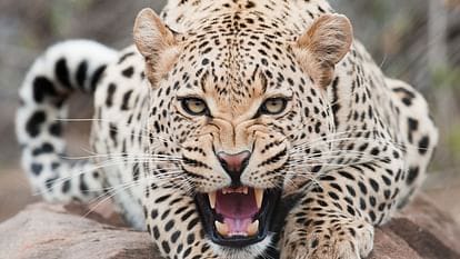 IMG-20250729-WA0149